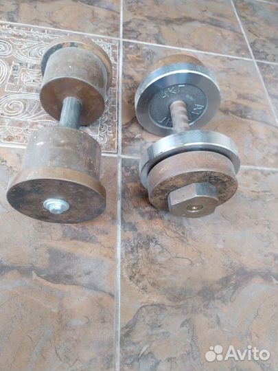 Две гантели по 20 кг