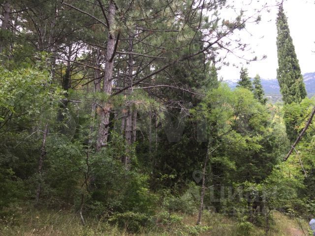 Участок 4 сот. (ИЖС)