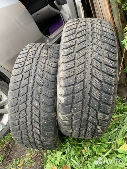 Roadstone Winguard 231 205/55 R16