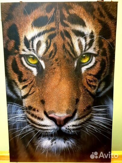 Художник-Аэрографист по росписи стен