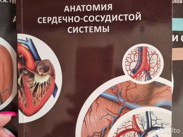 Методические пособия по анатомии