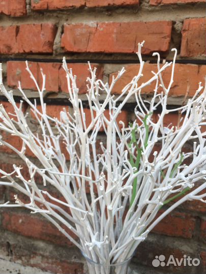 Веточки декоративные