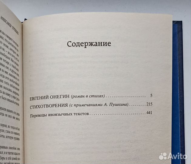 Евгений Онегин