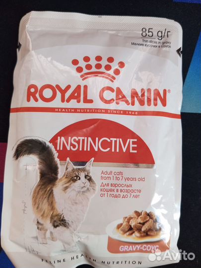 Влажный корм для кошек Royal Canin