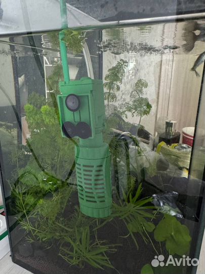 Аквариум с рыбками, растениями и креветками