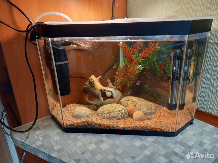 Аквариум