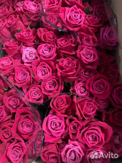 Цветы оптом в ваш город