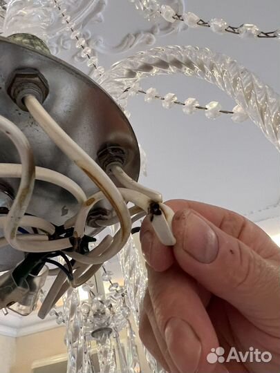 Мужчина на час