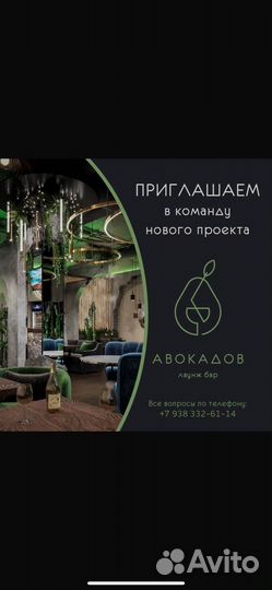 Бармен, старший бармен