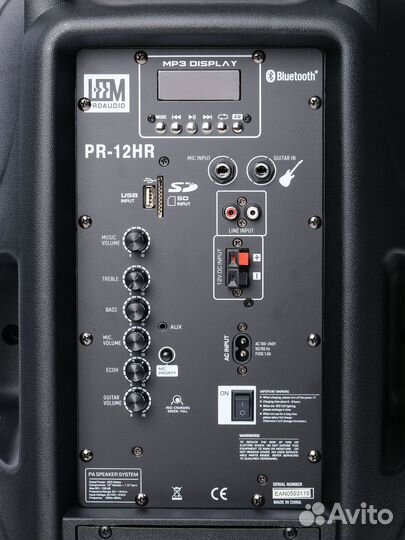 Акустическая система с 2 микрофонами