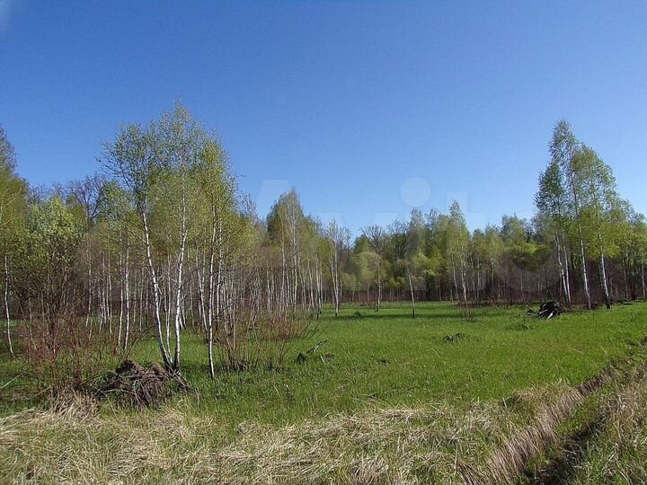 Участок 12 сот. (ИЖС)