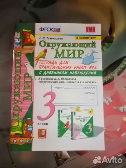 Рабочая тетрадь по окр миру 3 класс