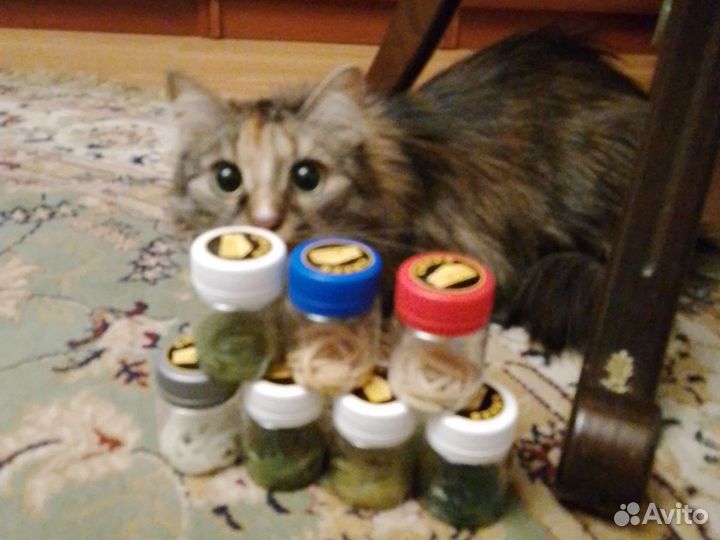 Рыболовные приманки