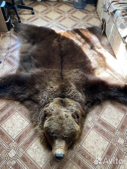 Шкура медведя (имитация)