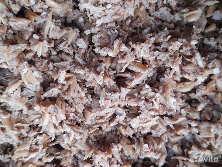 Пивная дробина