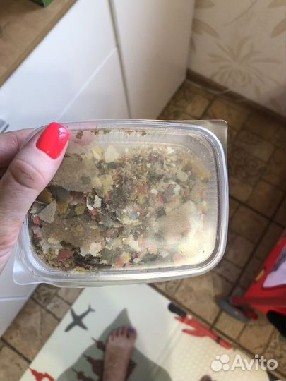 Автоматическая кормушка для рыб