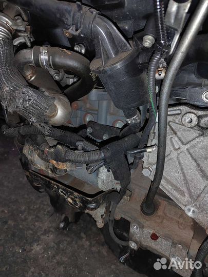 Двигатель Опель Астра Н 1.3 DTH