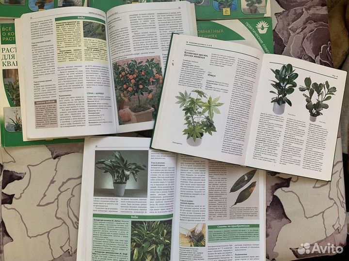 Книги о комнатных растениях