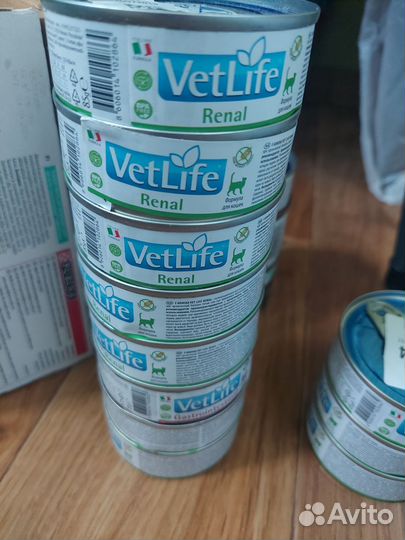 Корм для кошек лечебный