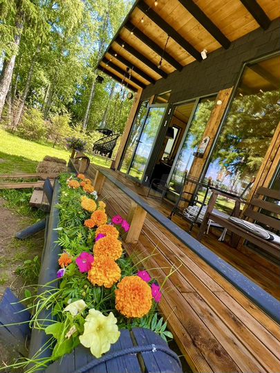 Дом 45 м² на участке 60 сот.