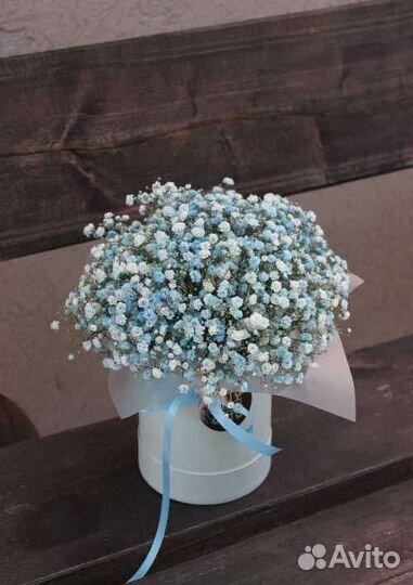 Облако цветной гипсофилы