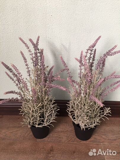 Фейк Лаванда IKEA