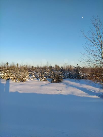 Участок 2,16 га (ИЖС)