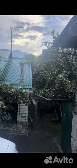 Сок яблочный домашний из гореых яблок