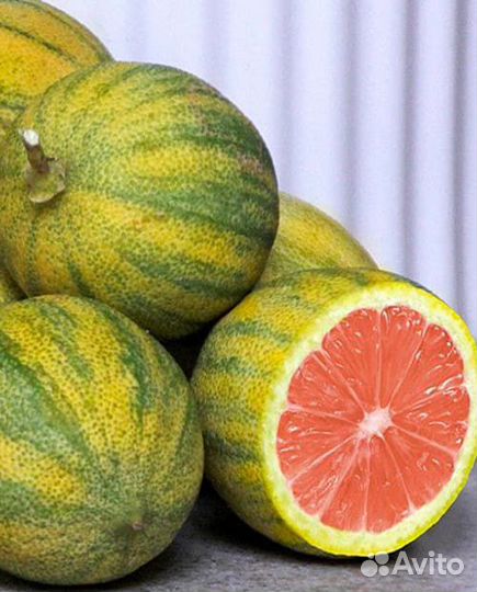 Лимон Эврика