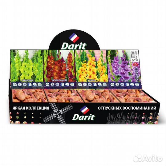 Гладиолусы крупноцветковые боги арены, 4 вида