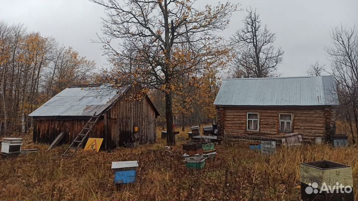 Дом с пасекой