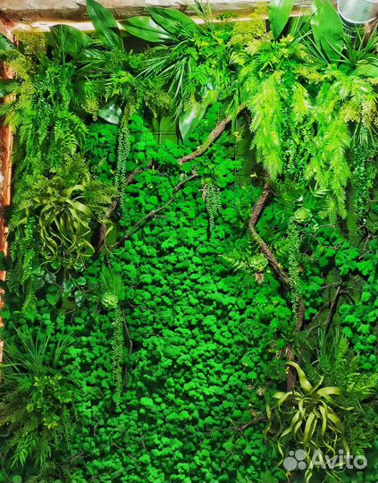 Картины из мха