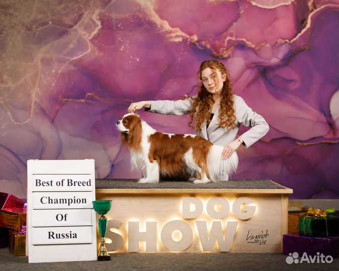 Хендлер. Выезд по Москве