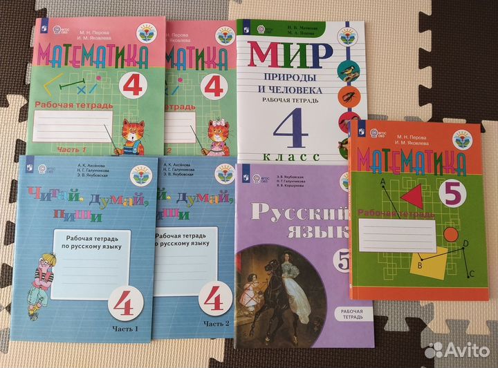 Рабочие тетради для детей с овз 4-5 классы
