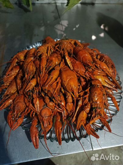 Живые раки