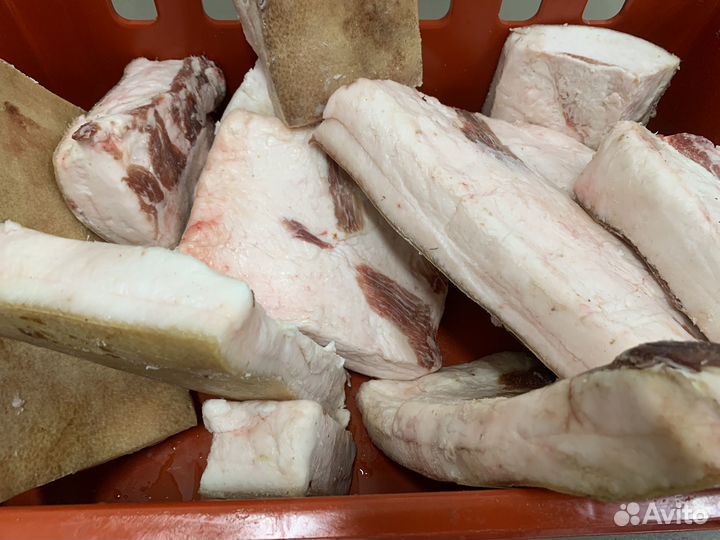 Шпиг для засолки