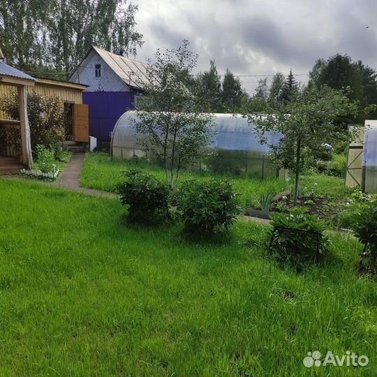 Теплица б/у 3х6 метров