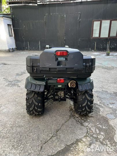 Ямаха грызли