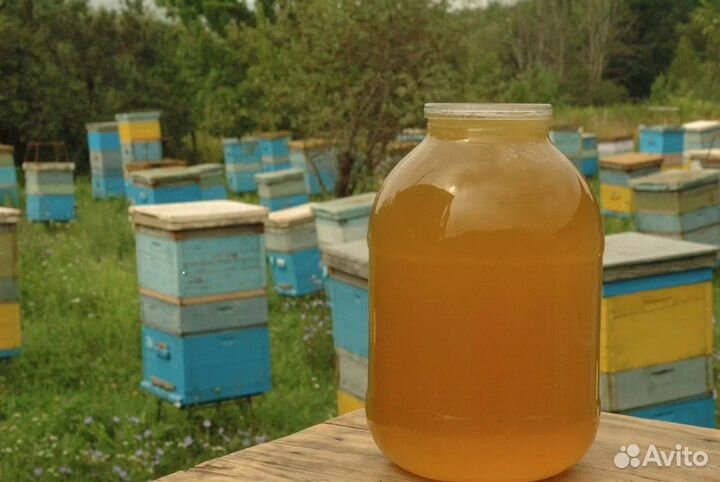 Липовый мед Чувашии, продукты пчеловодства