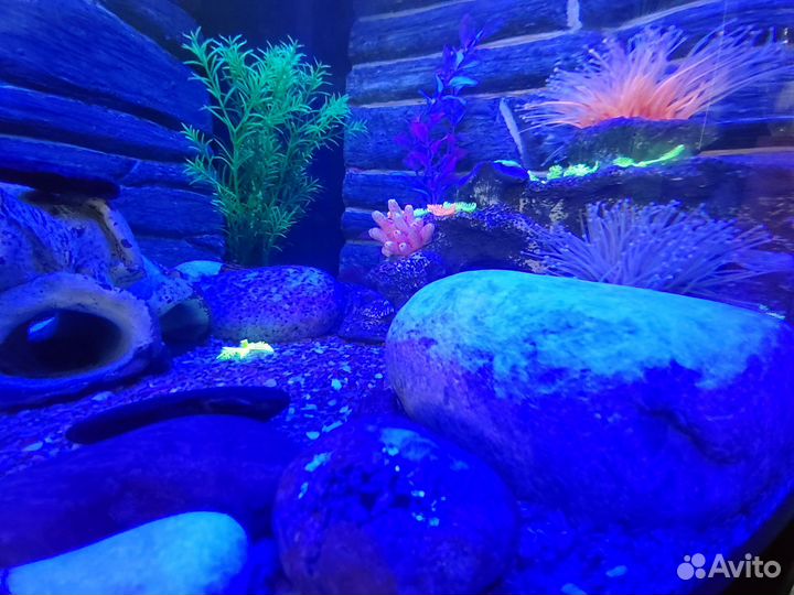 Грунт камни для аквариума