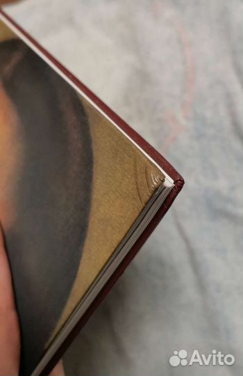 Мир Леонардо. Р. Уоллэйс. Статьи и иллюстрации