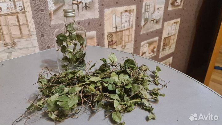 Боровая матка