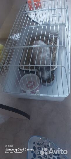 Клетка для грызунов