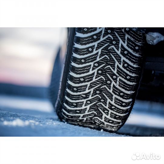 Nokian Tyres Nordman 8 SUV 225/55 R19 103T
