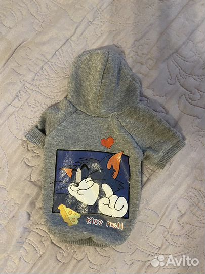 Одежда для собак