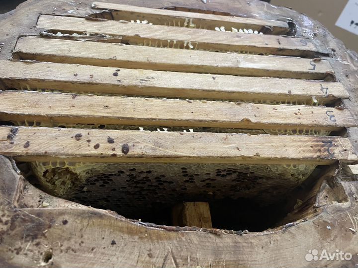 Ульи для пчел 12 рамочные