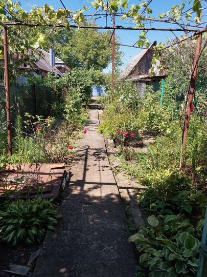 Дом 51,5 м² на участке 6 сот.