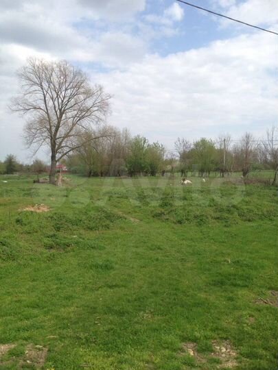 Участок 43 сот. (ИЖС)