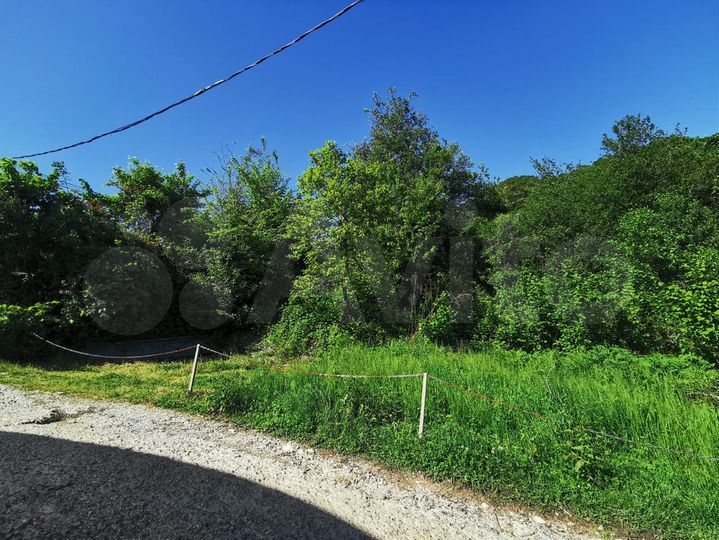 Участок 5,3 сот. (СНТ, ДНП)