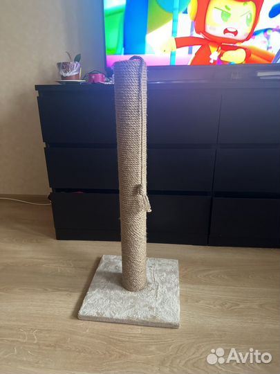 Когтеточка, новая